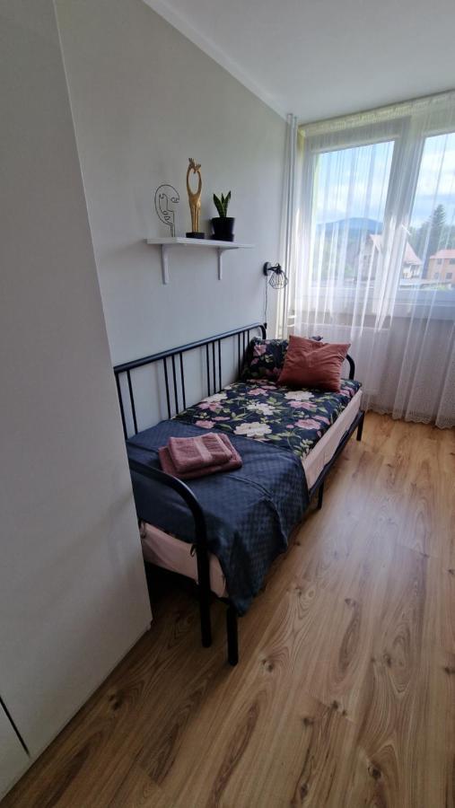 Apartament Spoko-Loko Apartment Stronie Slaskie Ngoại thất bức ảnh